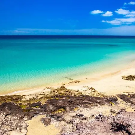 Casa Zizi Apartmán *