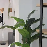 Casa Zizi 科斯塔卡玛
