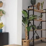 Casa Zizi 公寓