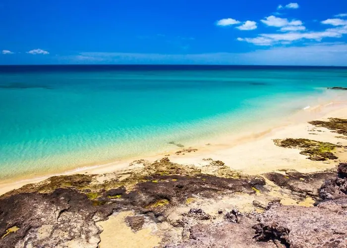 Casa Zizi Lejlighed *