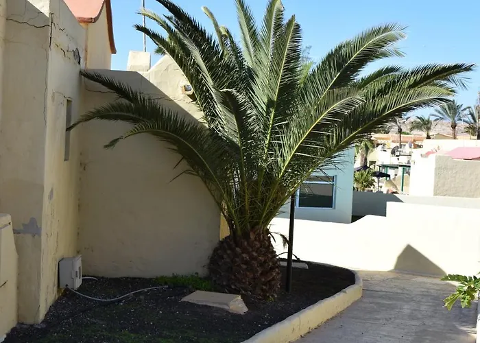 Casa Zizi Lejlighed *